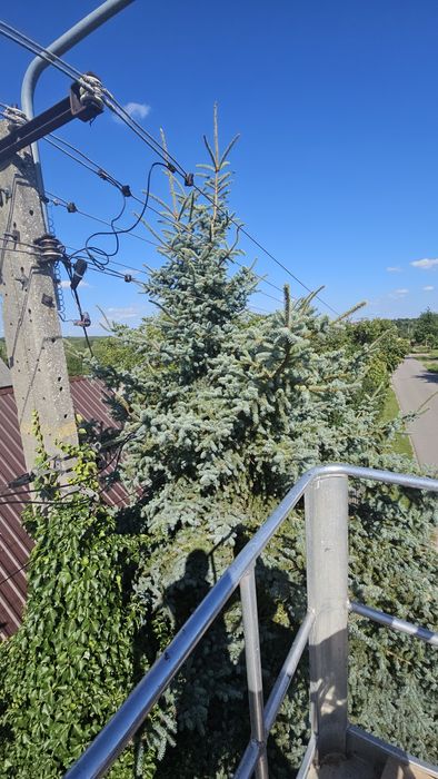 Podnośnik koszowy zwyżka 20m góra 14m bok