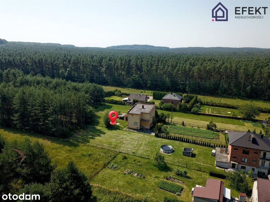Dom – Płoki - Widok 3