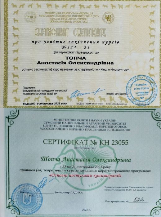 Дрессировка собак,Передержка собак ВЯЗКА собак.