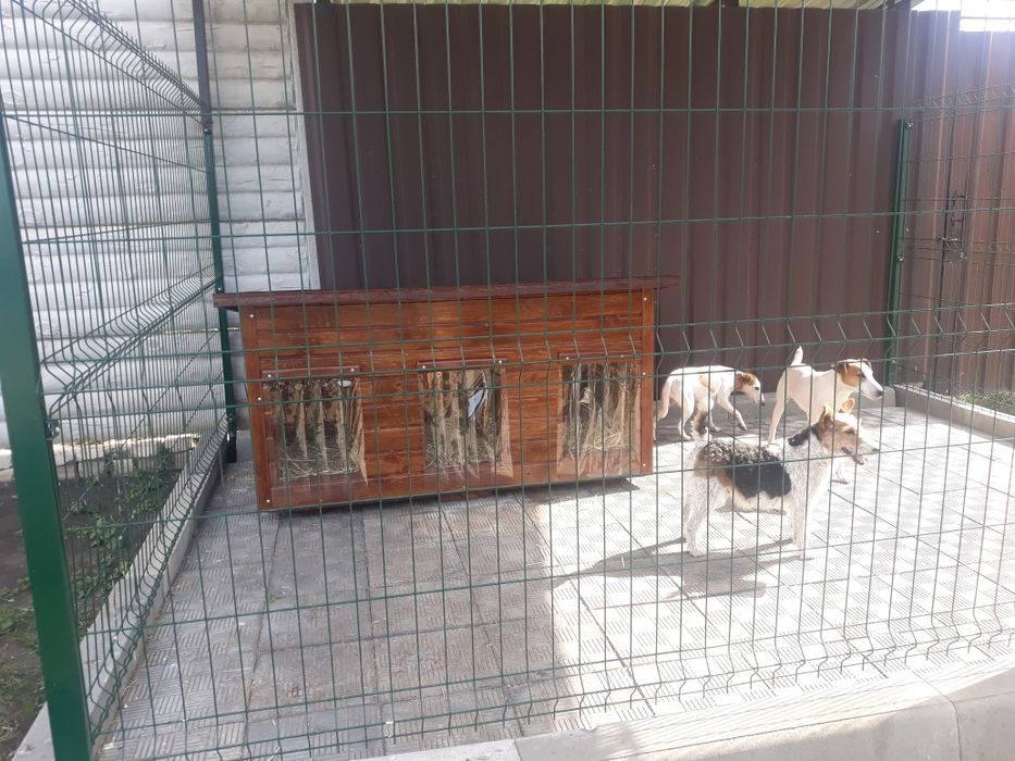 Силіконова шторка для будки