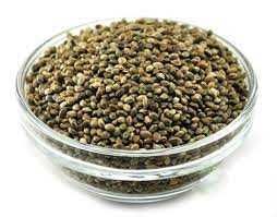 Насіння коноплі для рибалки від виробника! | Макуха семян конопли