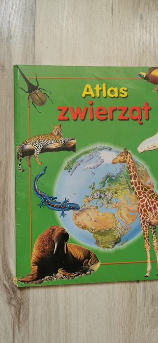 Super zestaw kreatywny Altas zwierząt, pastele olejne Majewski,czepek