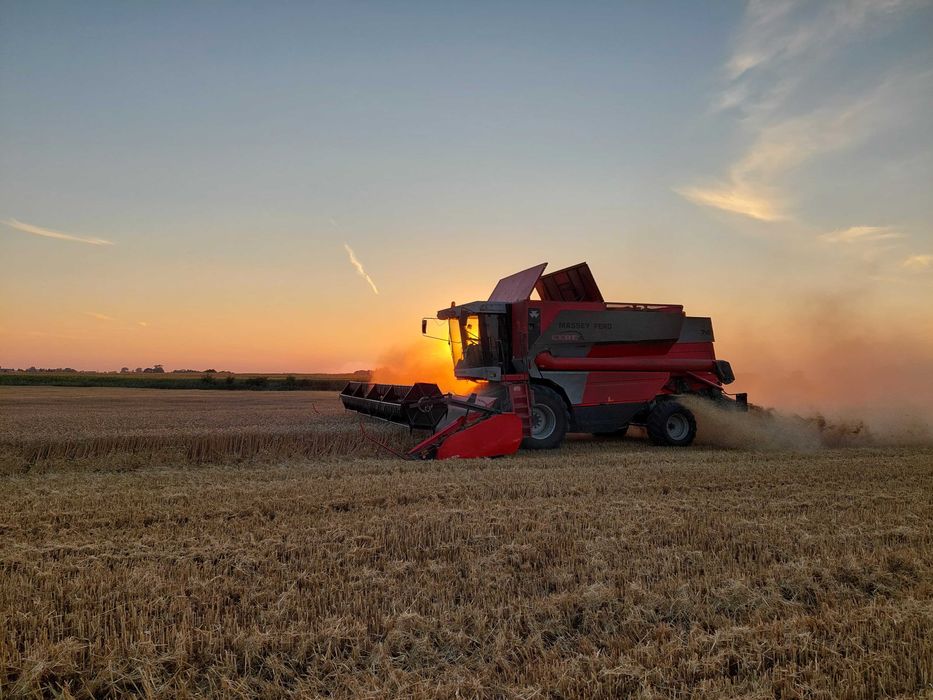 Massey Ferguson 7274 brutto CEREA