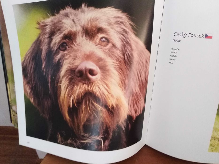 Eukanuba Album Rasy Psów A - G