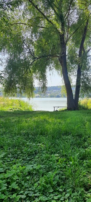 Отдых и оздоровление в тихих, комфортных,  экологичных условиях !!!