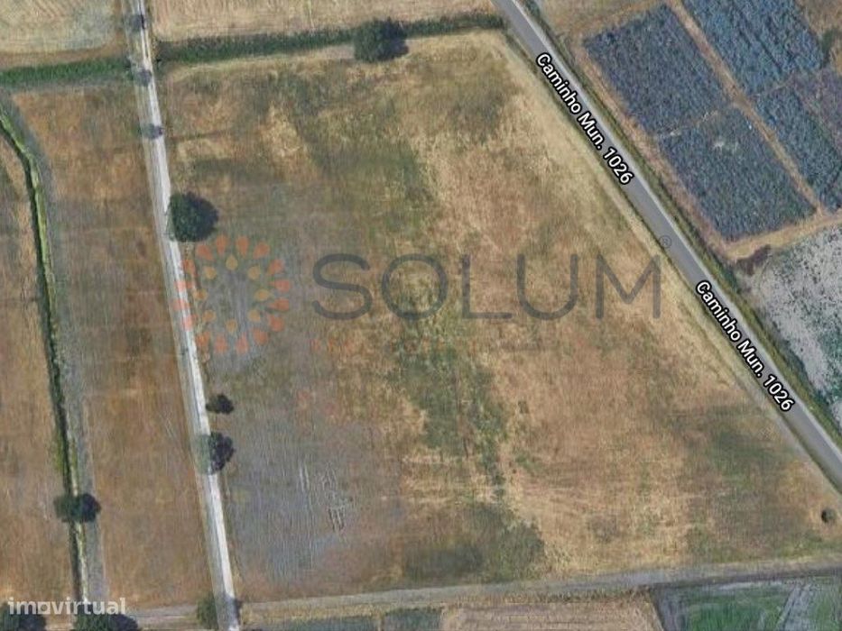 Terreno agrícola - 3 hectares na Jardia/Montijo