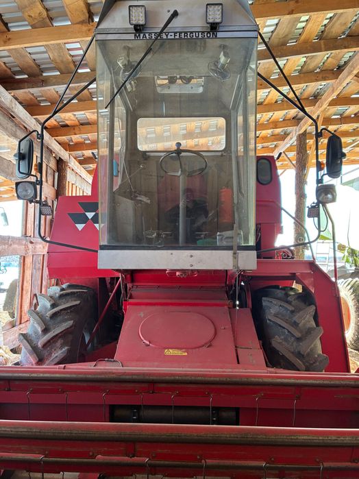 Мойсей форгусон 16