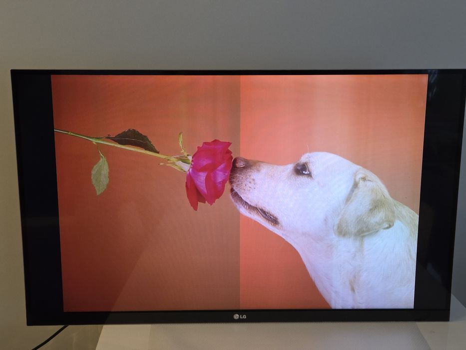 LG 42 cale, Smart TV Wi-Fi