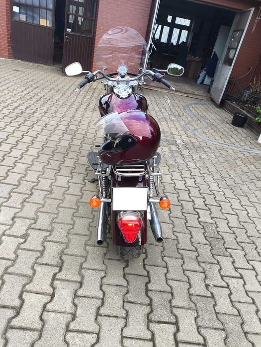 Triumph America 2015 rok