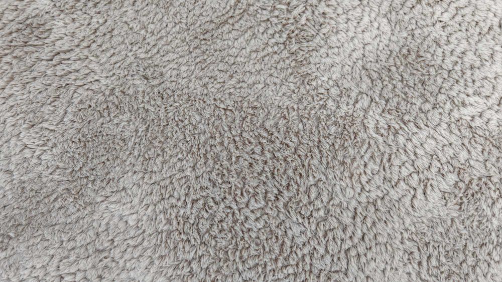 Dywan Multi-Decor 160x230 cm – ciemny beż / shaggy