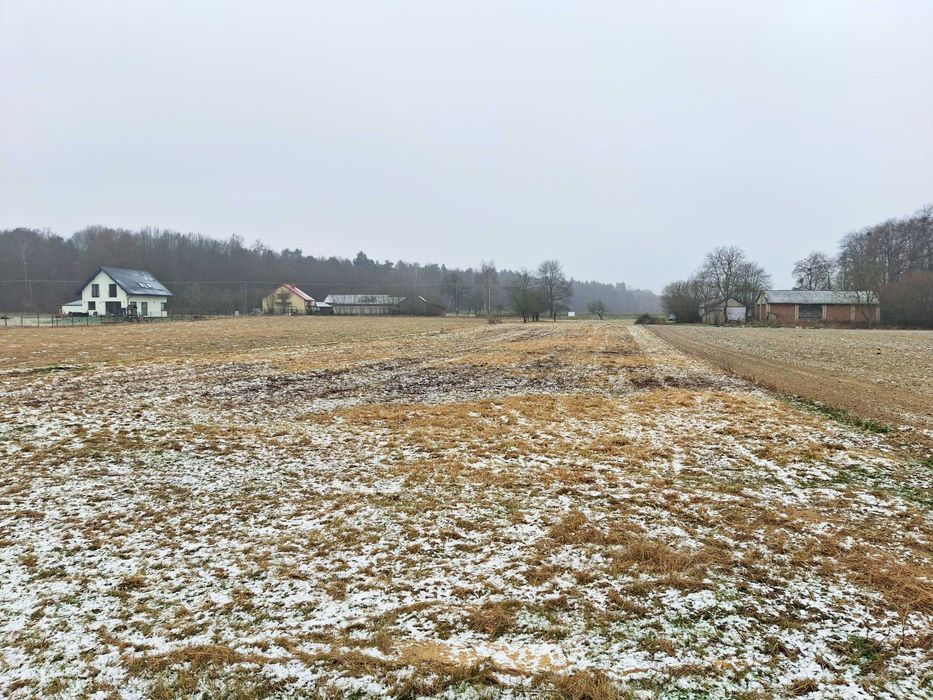 Działka budowlana 3800 m² z MPZP Zaborze, okolice Nałęczowa, Kazimierza - Widok 5
