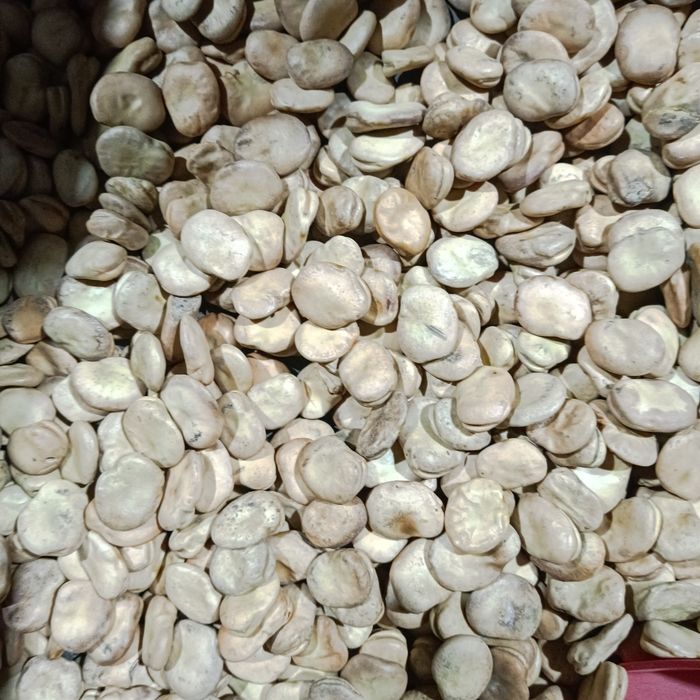 Bób suche nasiona, DRAGON, BIZON