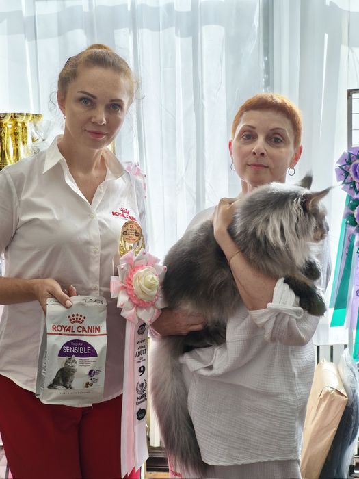 У зв'язку з реструктуризацію.