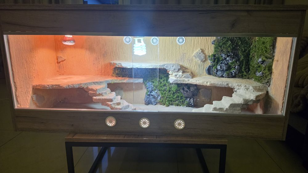Terrarium dla agamy