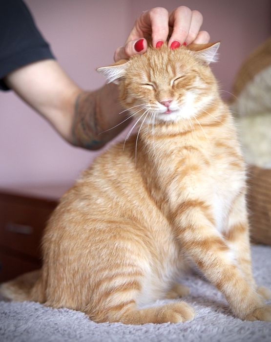 Czekamy na wspólny domek.