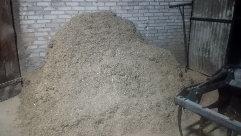 Suchy STMR dla cieląt cielak jałoszka byczek