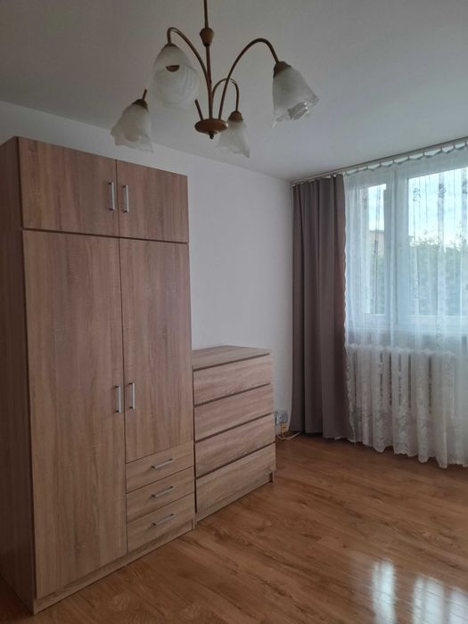 Zdjęcie 5