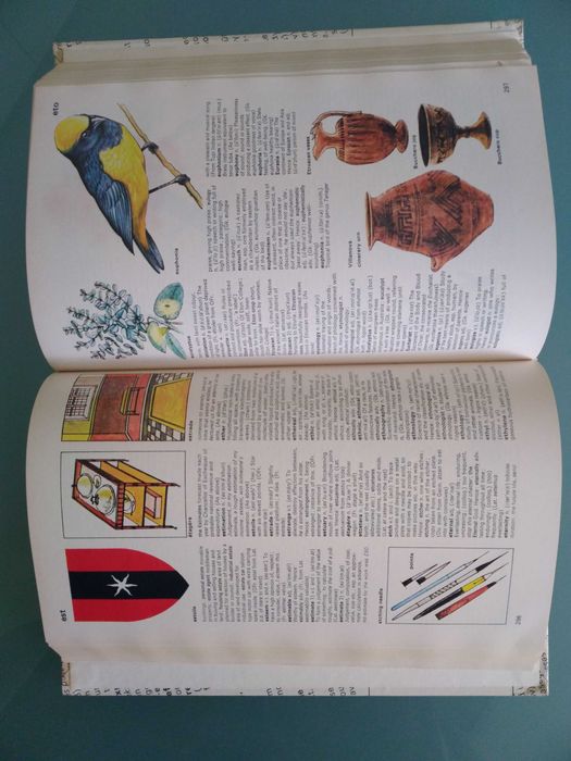 Purnell’s Family Dictionary in Colour