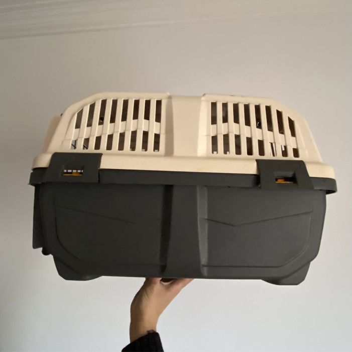 Transportadora de animais de porte pequeno