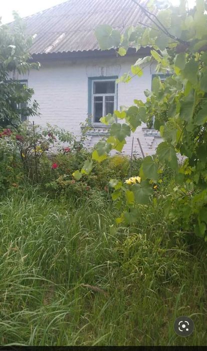 Здається будинок в с. Євминка  біля річки Десна