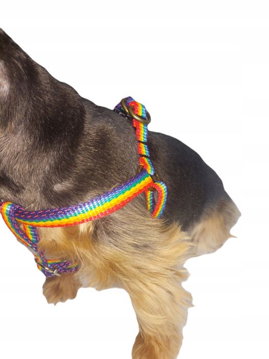 szelki dla małego psa ml 35/57 ozdobne sunka ultra