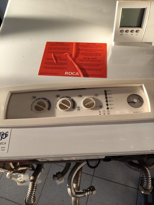 Caldeirada roca 24/24