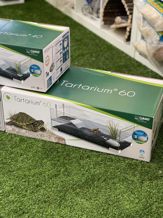 Tartarugueira Ciano 40 e 60