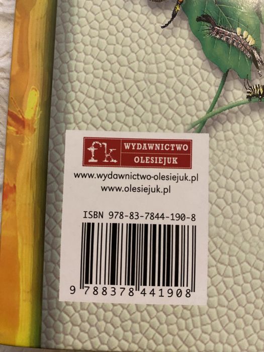 książka  owady i pająki