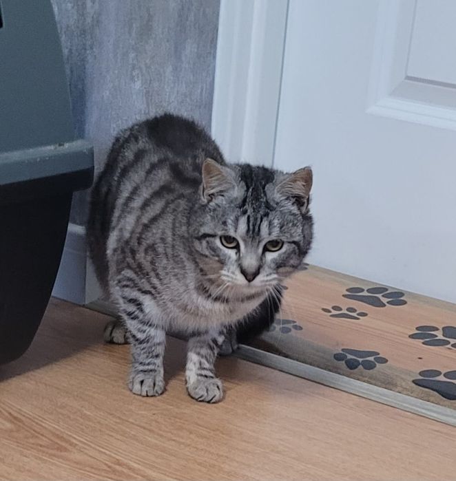 Szukamy kochającego domu dla 10 mies. Lusi