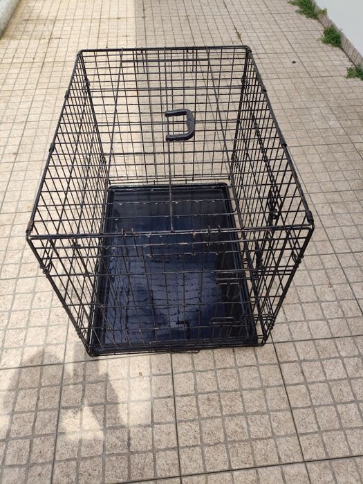 Jaula transporte cão