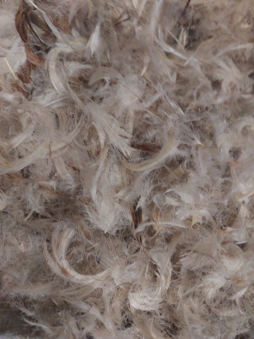 Пух перо гусиное на вес