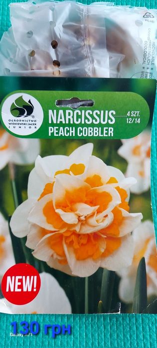 Продам цибулини квітів