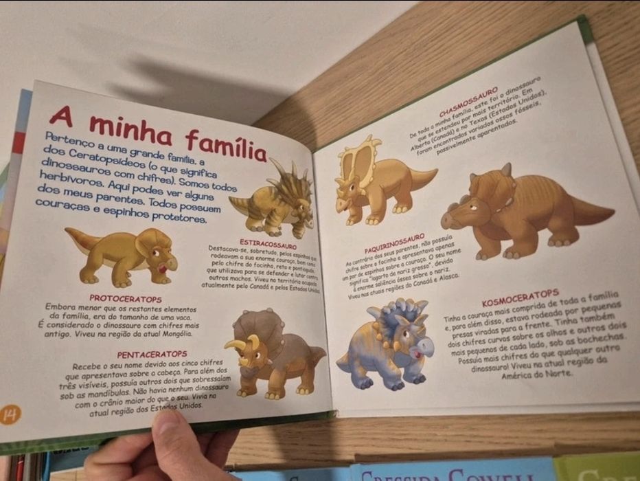 Conjunto de livros para menino
