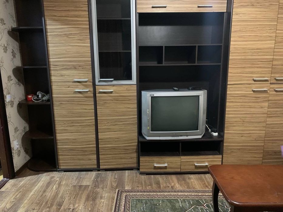 Однокімнатна квартира . Либідь Плаза . Можна з тваринами