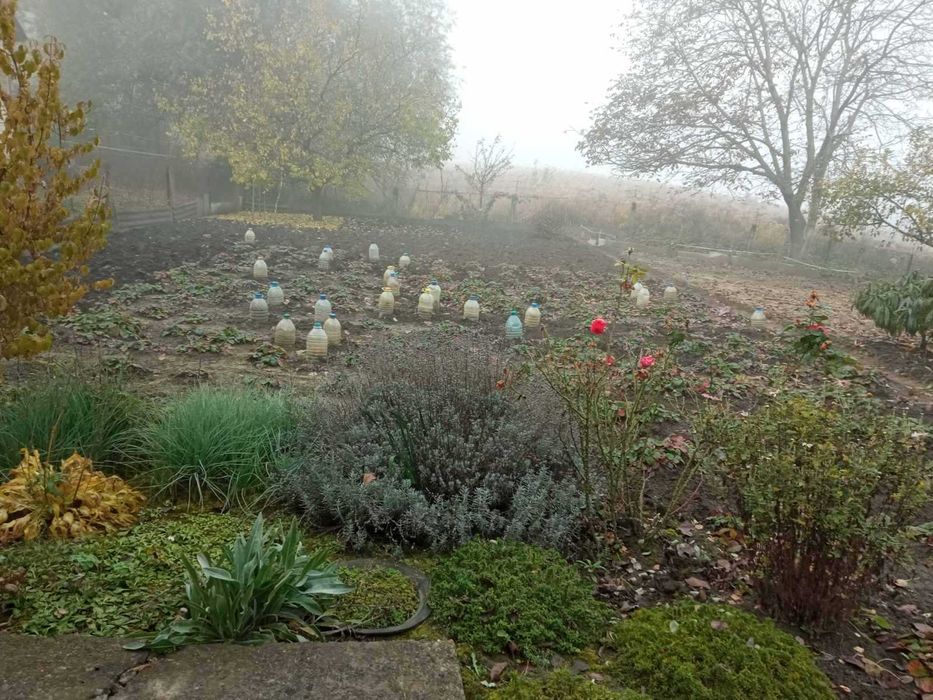 Дача земельна ділянка