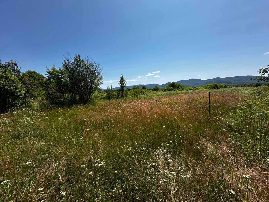 Продається земельна ділянка в смт. Буштино