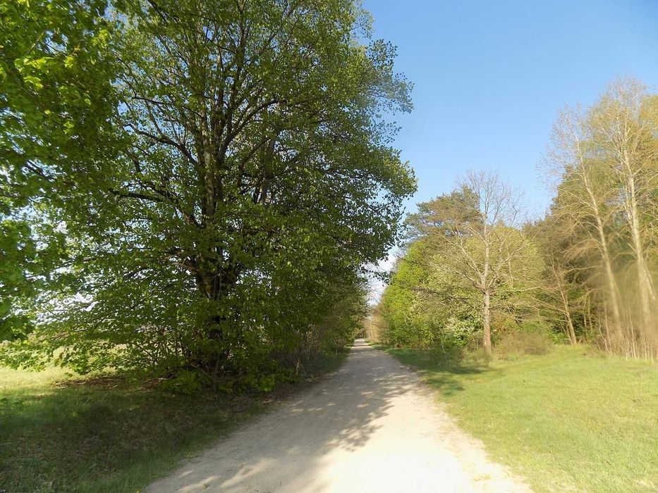Działka na sprzedaż - Widok 2