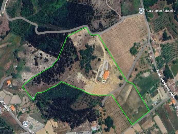 Quinta de Excelência em Galizes — 60.000m² | Vistas Serra da Estrela | A+