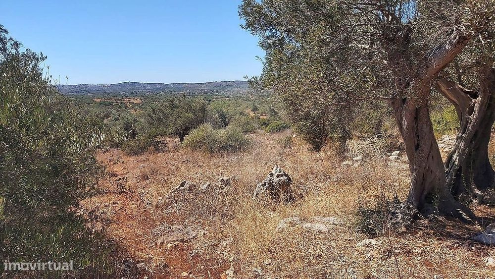 Terreno  para venda — Paderne, Faro