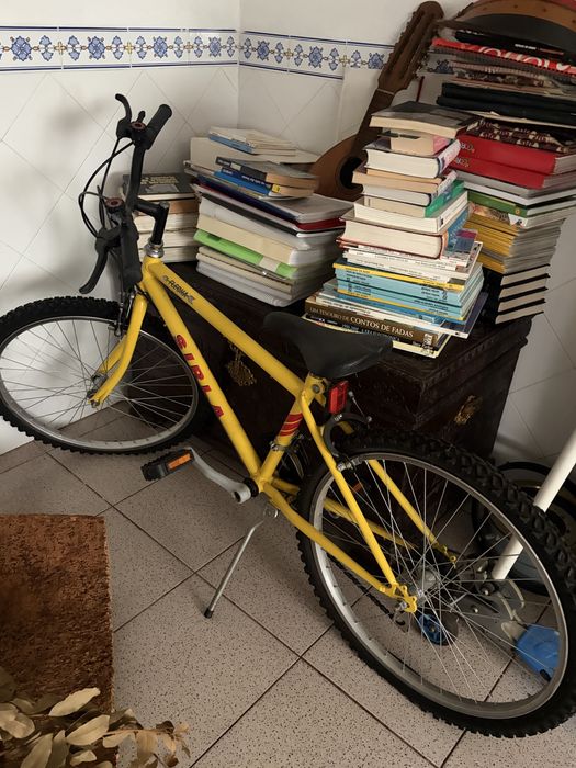 Vendo bicicleta usada