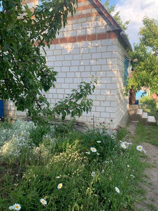 Дачка неподалік Білої Церкви .Ділянка приватизована.