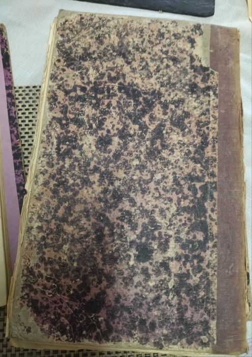 Archivo Pittoresco Volume VII, 1864, Livro antigo