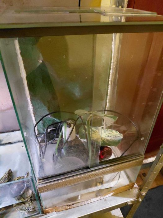 Terrarium 50x30x30