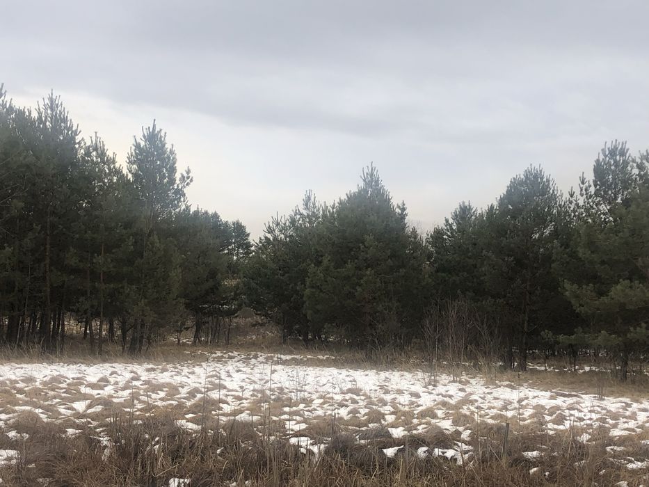 Продається ділянка