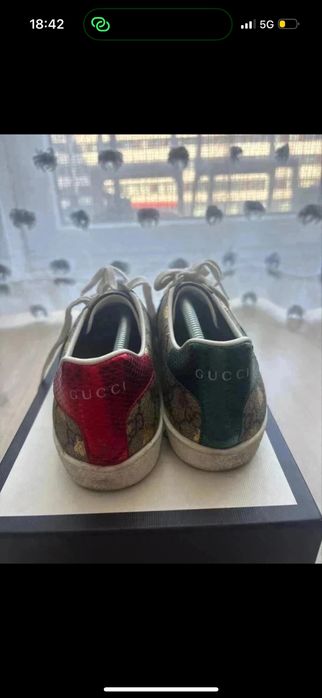 Tranpki gucci ace
