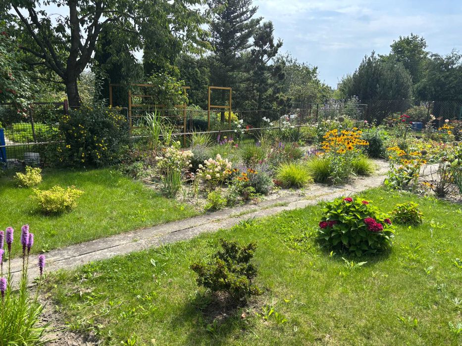 Ogródek działkowy ROD