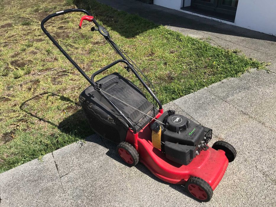 CORTA RELVA a gasolina