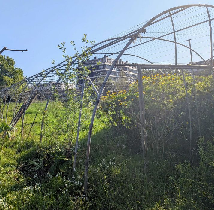 Estufa em arco e aço galvanizado