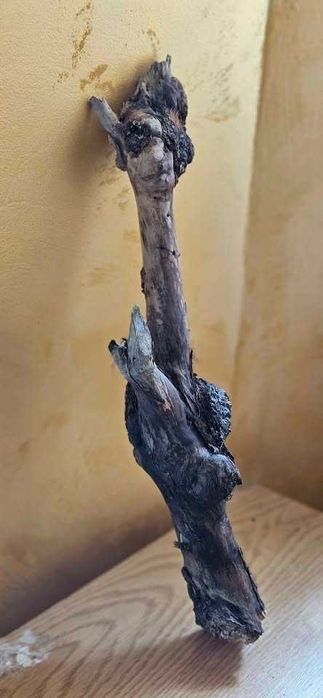 Korzenie ozdobne duże na ścianę lampę , elewacje dekoracyjne stylowe