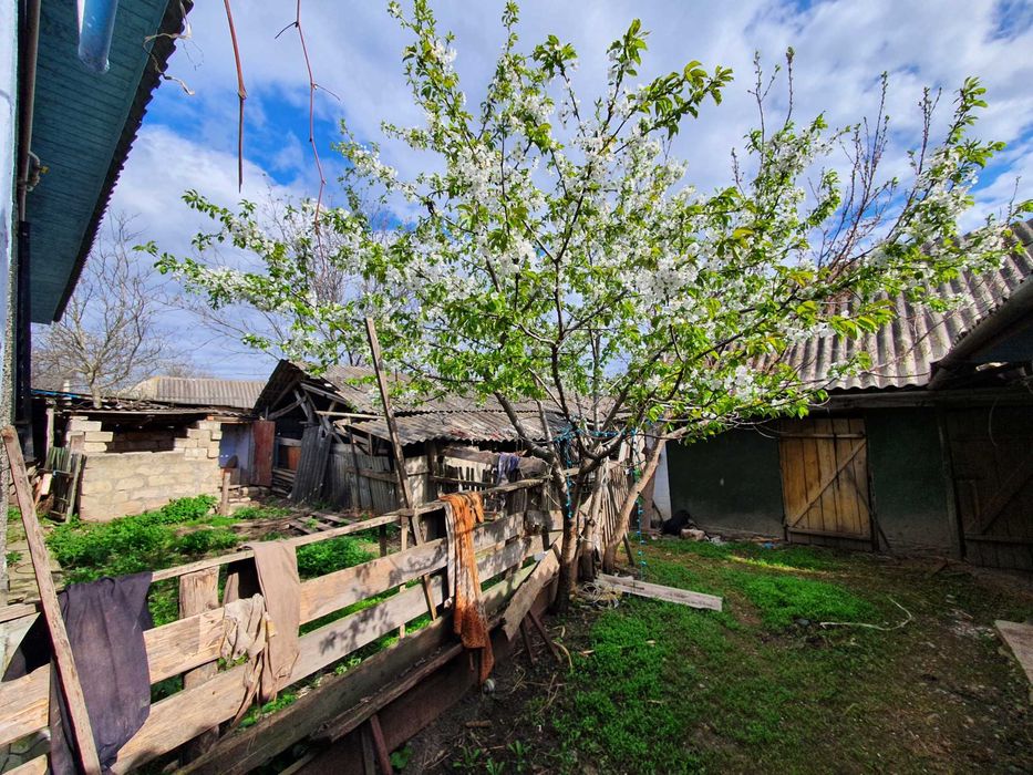 Продам будинок Сокиряни (с.Волошкове, біля р.Дністер)